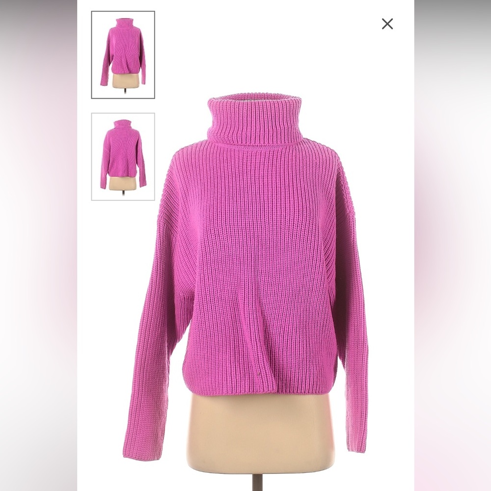 Zara chunky knit turtleneck